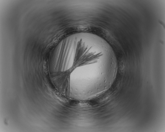 X0000099430270200805231700