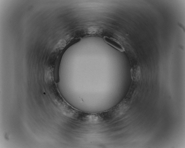 X0000099430272200805231700