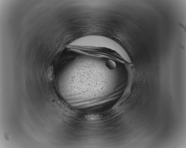 X0000099430273200805231700