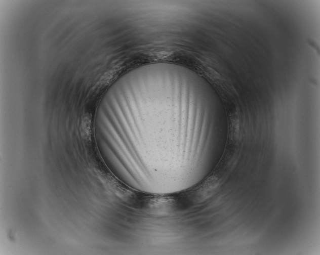 X0000099430274200805231700