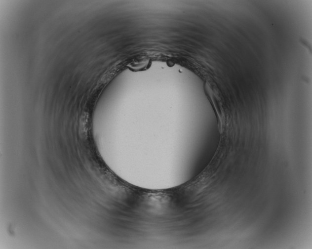 X0000099430275200805231700