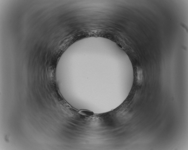 X0000099430276200805231700