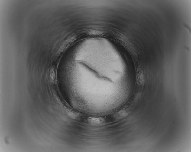 X0000099430277200805231700