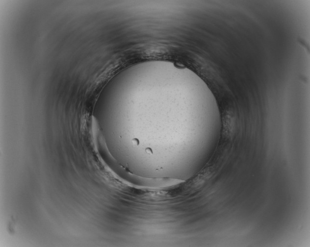 X0000099430278200805231700