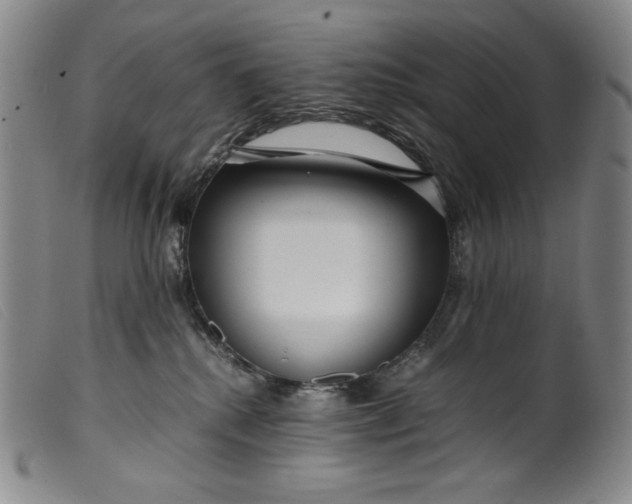 X0000099430280200805231700