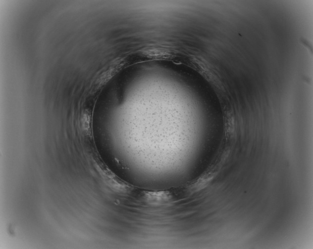 X0000099430281200805231700