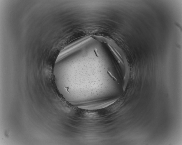 X0000099430283200805231700