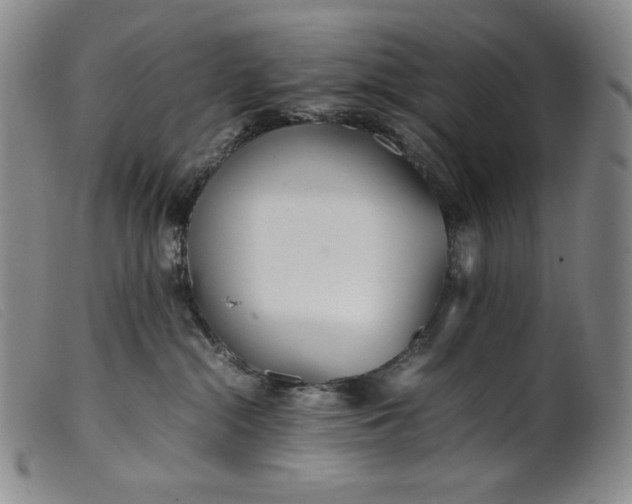 X0000099430284200805231700