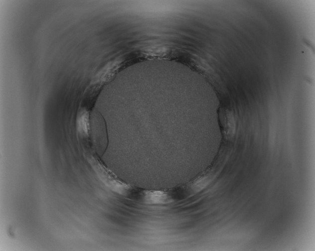 X0000099430287200805231701
