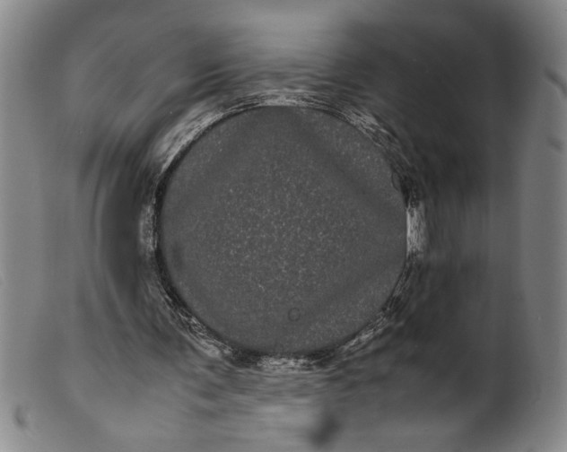 X0000099430291200805231700