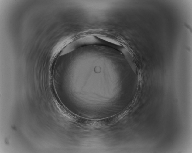 X0000099430293200805231700