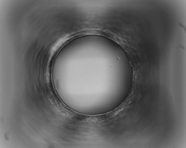 X0000099430294200805231700