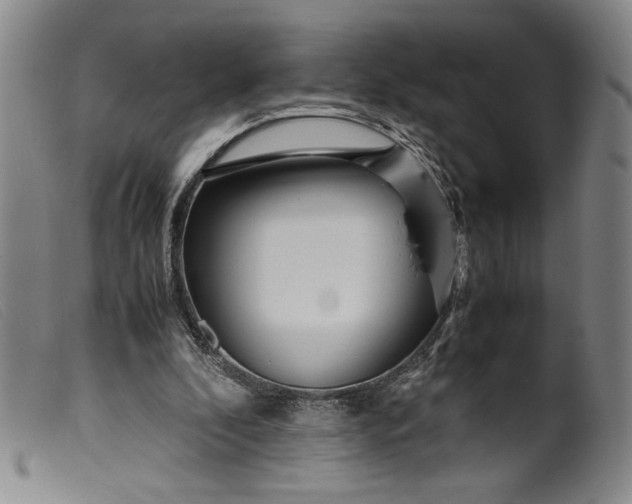 X0000099430296200805231700