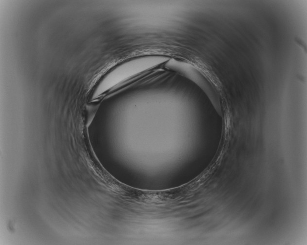 X0000099430297200805231700