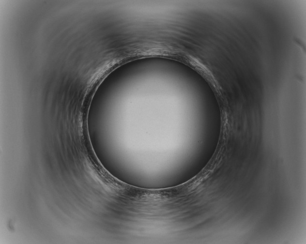 X0000099430298200805231700