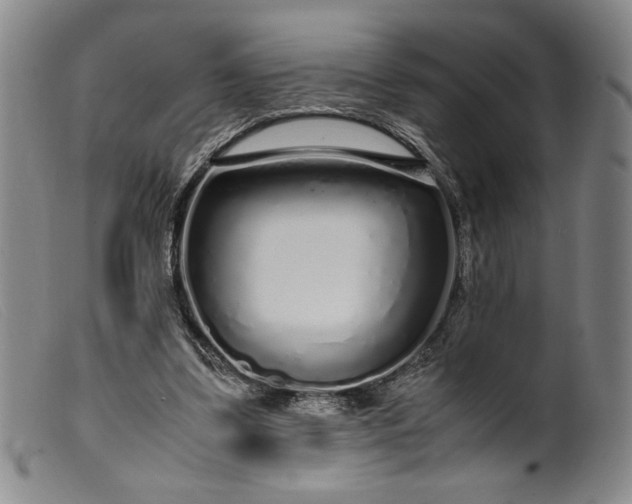 X0000099430299200805231700