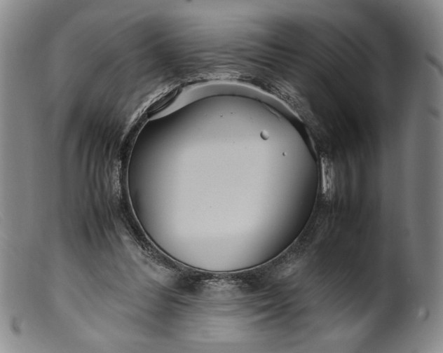 X0000099430300200805231700