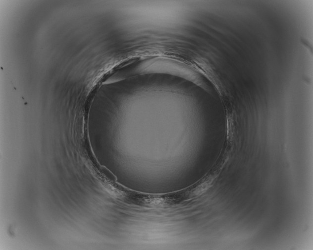 X0000099430301200805231700