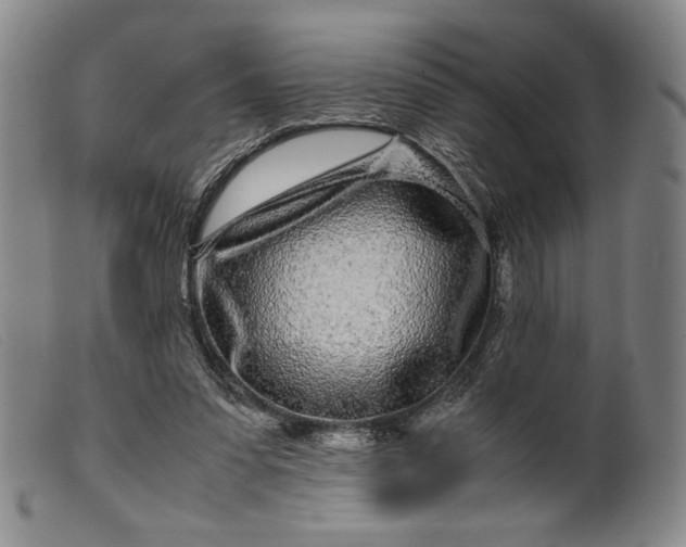 X0000099430303200805231700