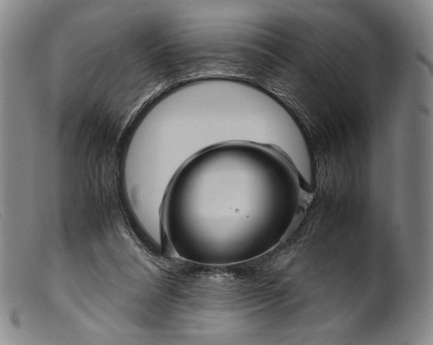 X0000099430304200805231700