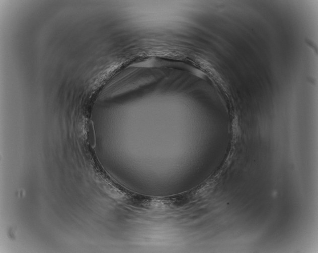 X0000099430305200805231700