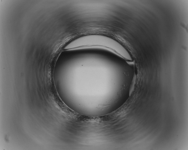 X0000099430306200805231700