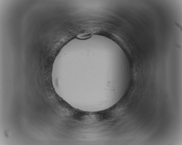 X0000099430307200805231700