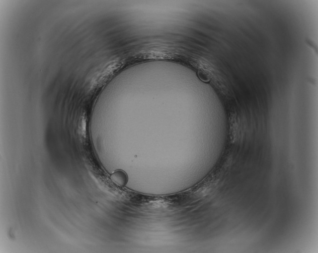 X0000099430310200805231700