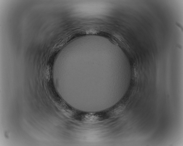 X0000099430311200805231700