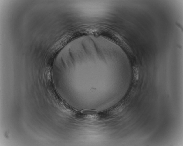 X0000099430313200805231700