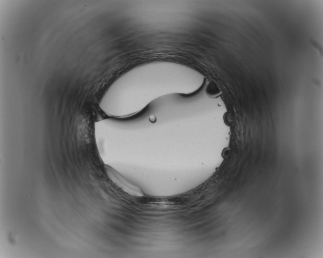 X0000099430316200805231659