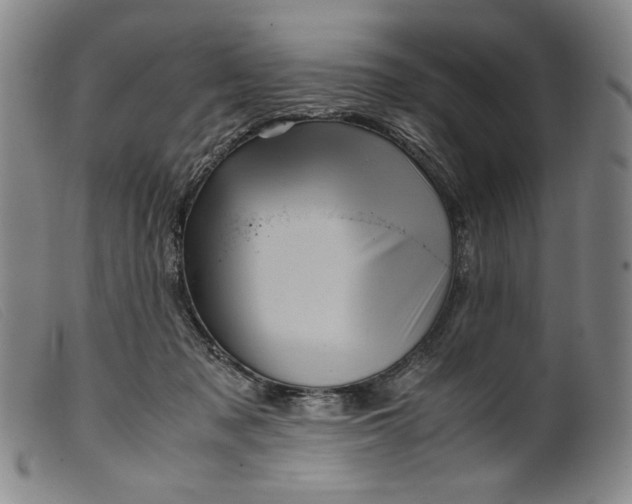 X0000099430317200805231659