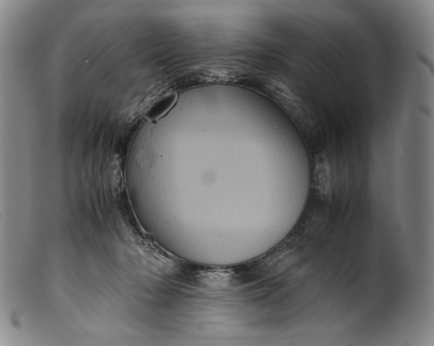 X0000099430318200805231659