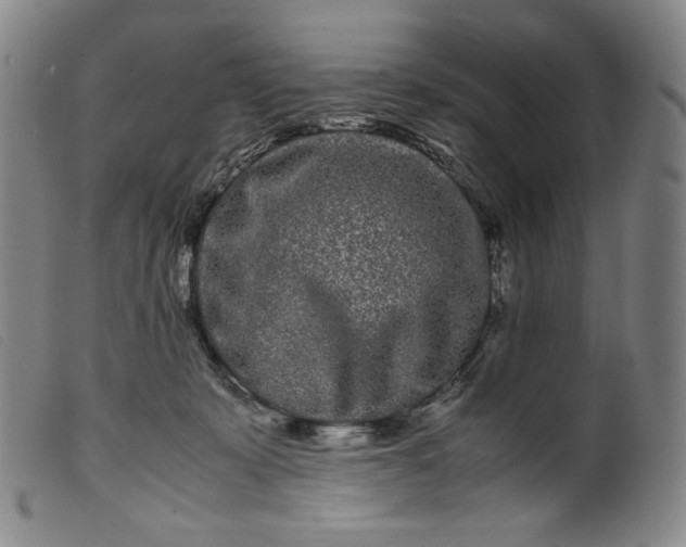 X0000099430319200805231659