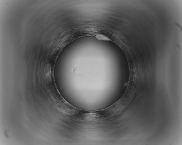X0000099430320200805231659
