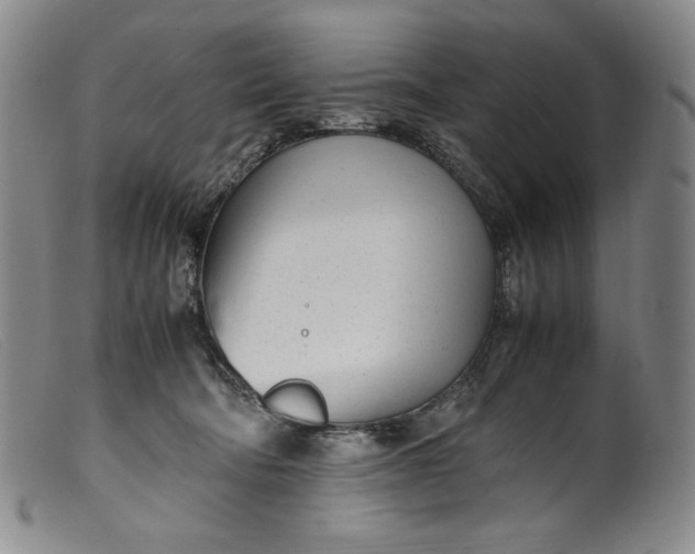 X0000099430322200805231659