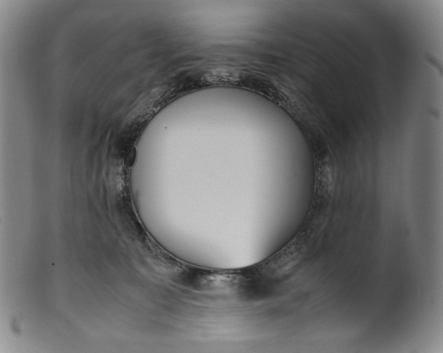 X0000099430323200805231659