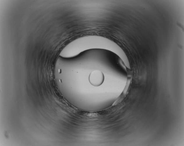 X0000099430324200805231659
