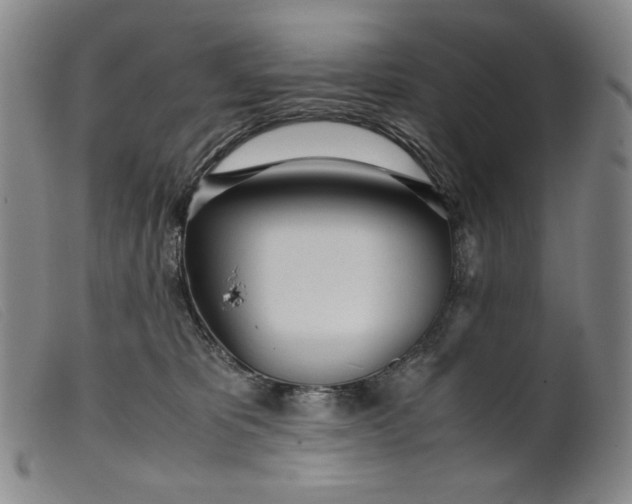 X0000099430325200805231659