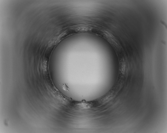X0000099430326200805231659