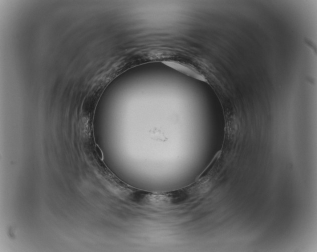 X0000099430327200805231659