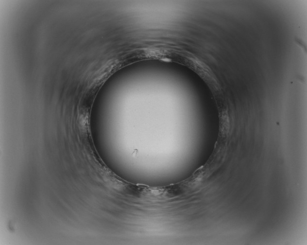 X0000099430329200805231659