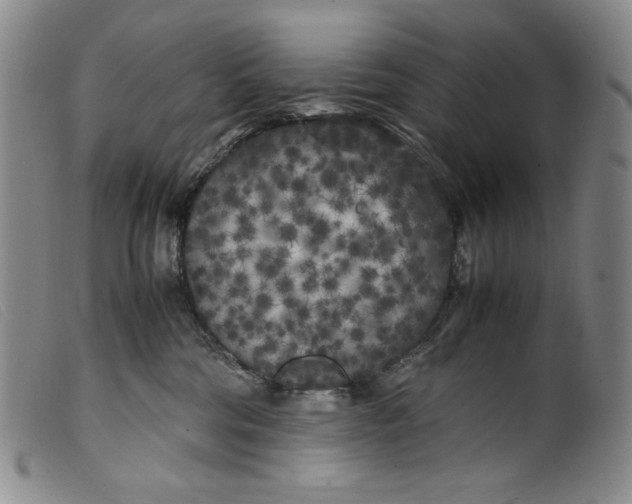 X0000099430330200805231659