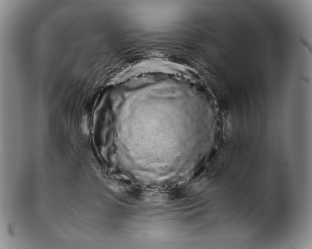 X0000099430331200805231659