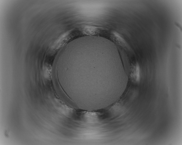X0000099430332200805231659