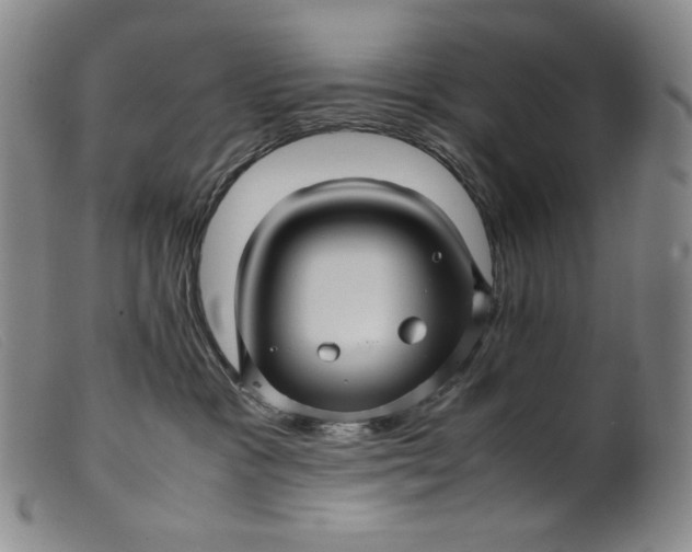 X0000099430333200805231659