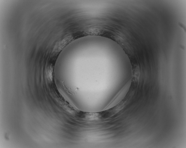 X0000099430334200805231659