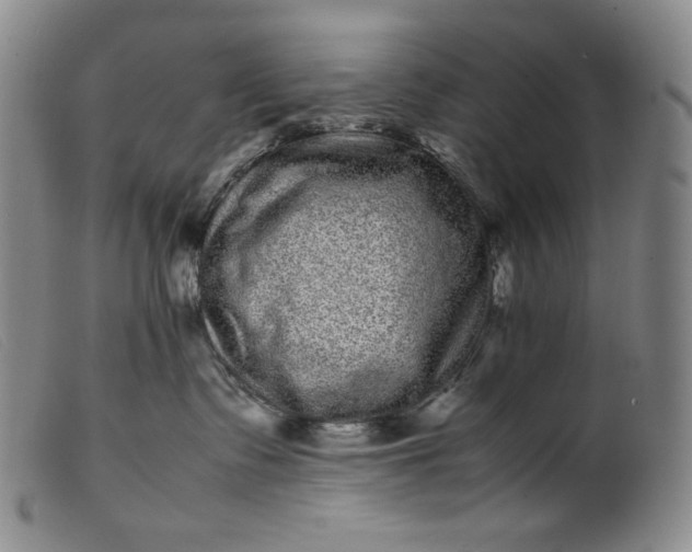 X0000099430335200805231659