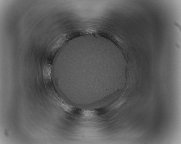 X0000099430336200805231659