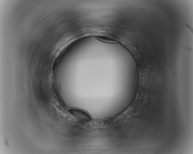 X0000099430338200805231658
